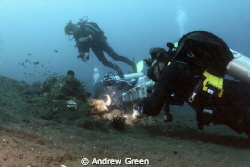 Teeth cleaning by the local shrimps. Diver is Tom Bligh, ... by Andrew Green 